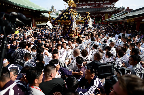 Sanja Festival in Tokyo