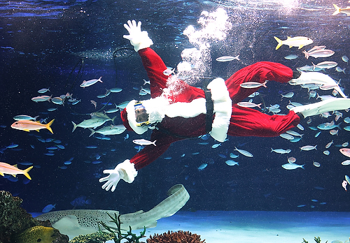 Santa diver in Tokyo